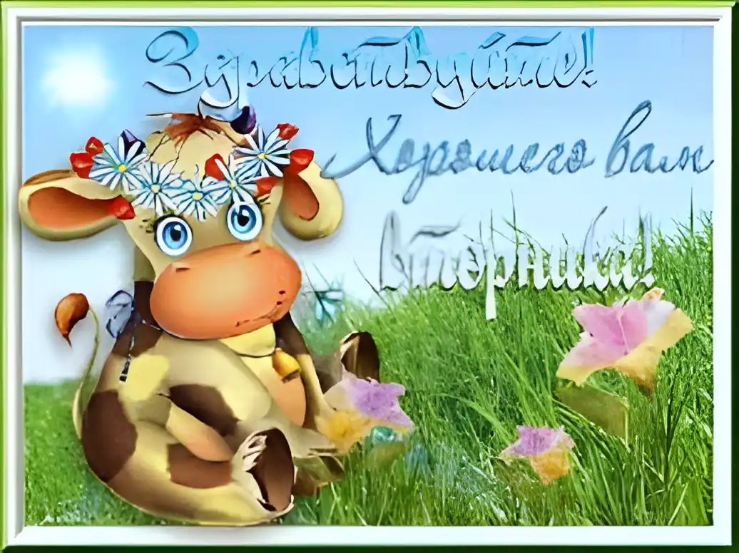 Открытка Открытки на вторник - Открытка с милой коровкой в поле цветов | Красивая открытка #102