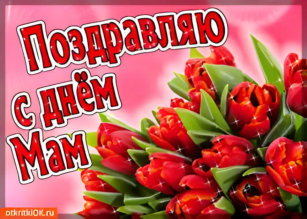 Открытка День матери - Открытка с красными тюльпанами | Красивая открытка #11