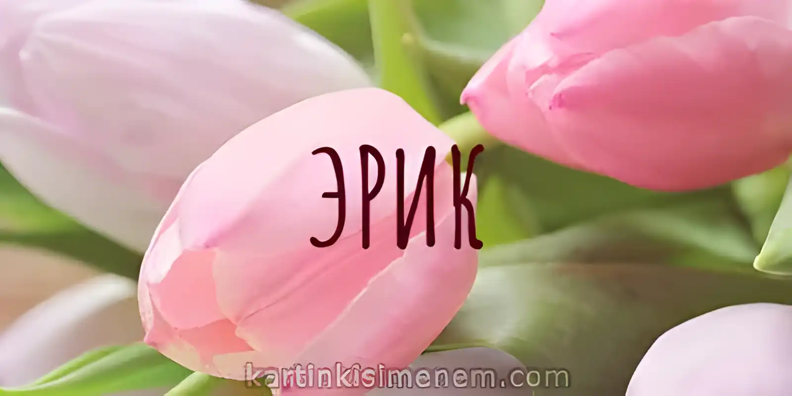 Открытка Открытки с именем Эрик - Розовые тюльпаны: нежные открытки на 8 марта | Красивая открытка #147