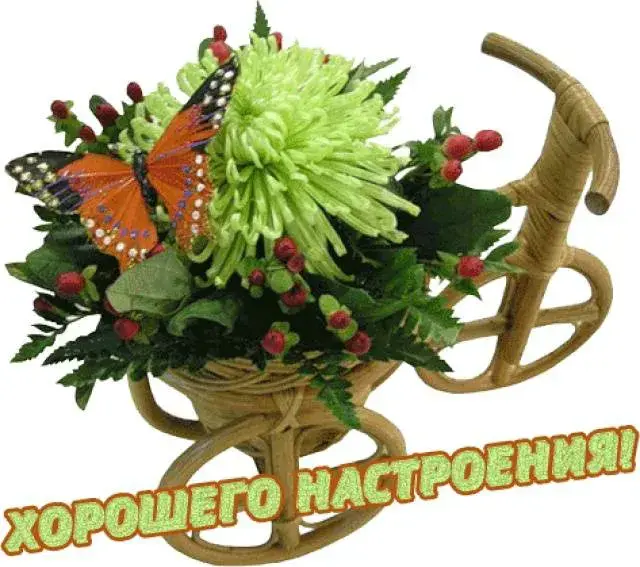 Открытка Для хорошего настроения - Открытка с цветущей веткой и бабочкой | Красивая открытка #9