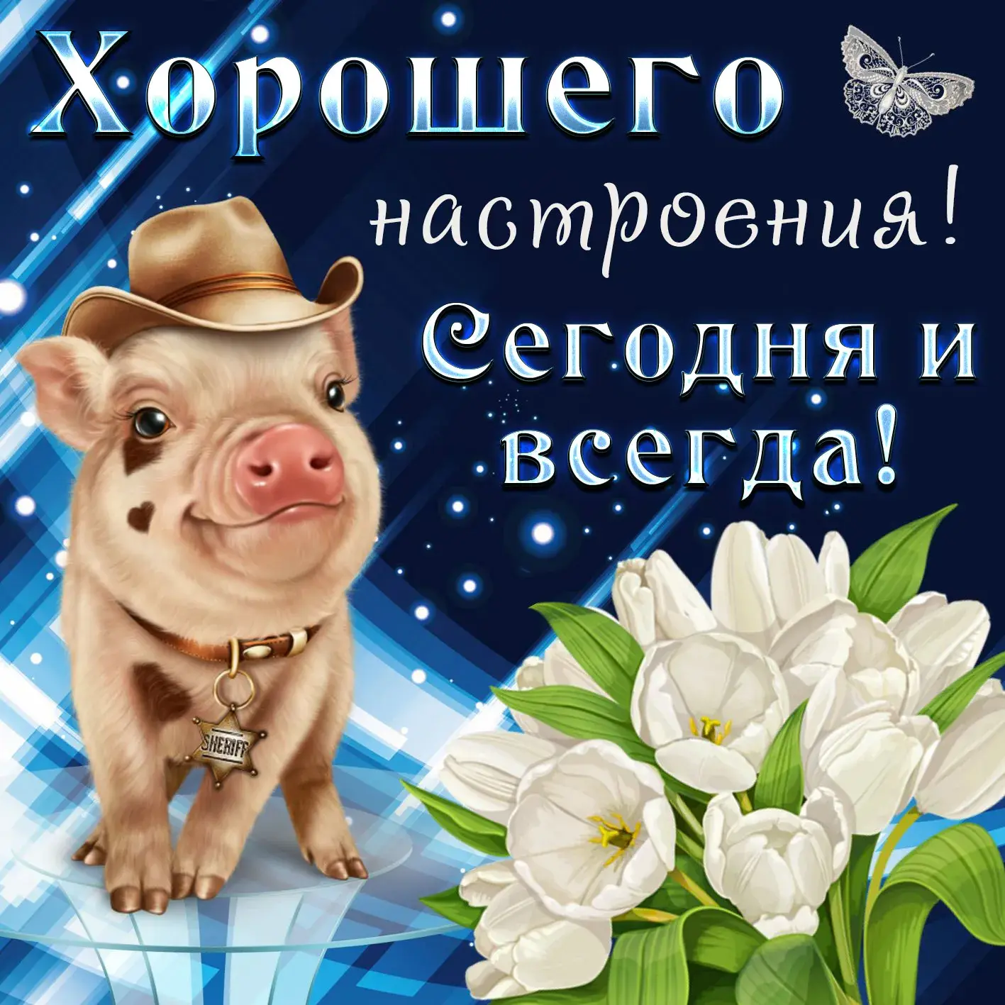 Открытка хорошего настроения - Свинья шериф: забавная открытка с цветком! | Красивая открытка #64