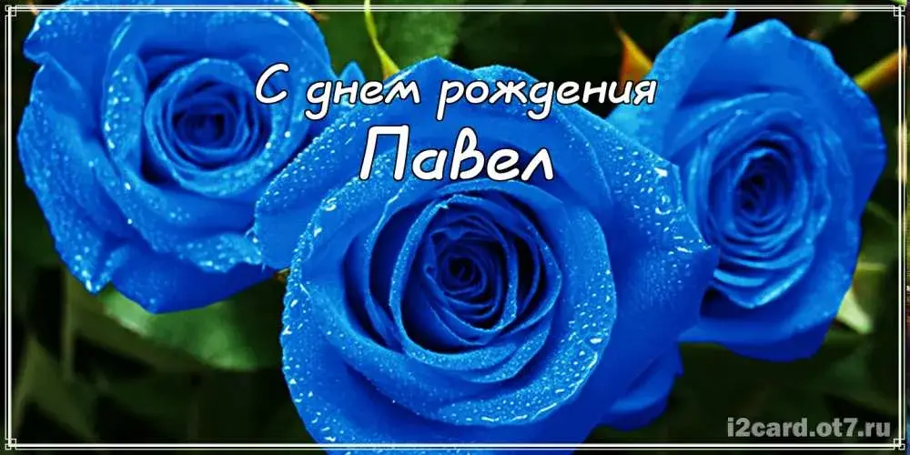 Открытка Открытки с именем Павел  - Открытка с синими цветами: поздравления с днем рождения | Красивая открытка #140