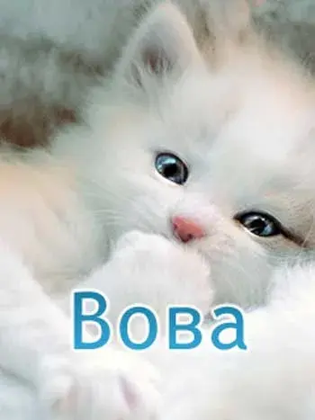 Открытка открытки с именем Владимир - Милый котенок: праздничная открытка с котенком | Красивая открытка #87