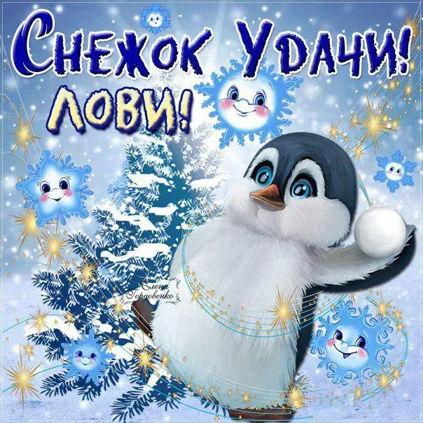 Открытка С пожеланиями удачи - Открытка с пингвином на фоне елей | Красивая открытка #4