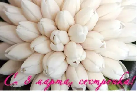 Открытка 8 марта - Белые цветы: открытка с 8 марта | Красивая открытка #364
