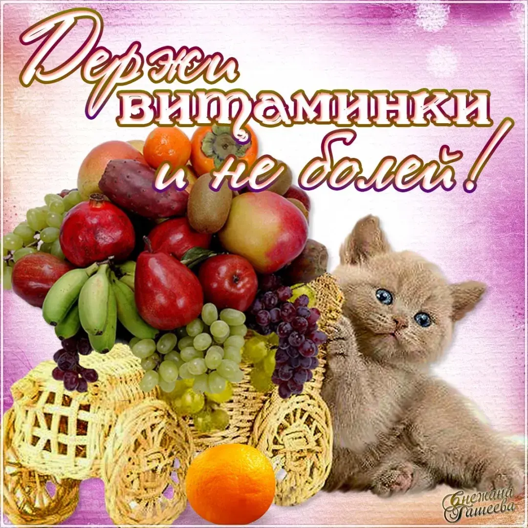 Открытка Выздоравливай - Милый котенок и фрукты в корзине: открытка | Красивая открытка #118