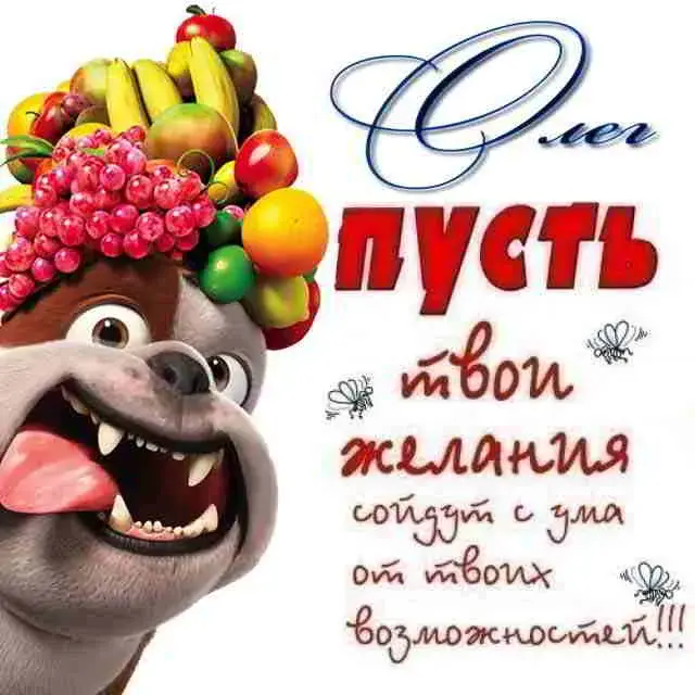 Открытка Открытки с именем Олег  - Открытка с котом и фруктами | Красивая открытка #99