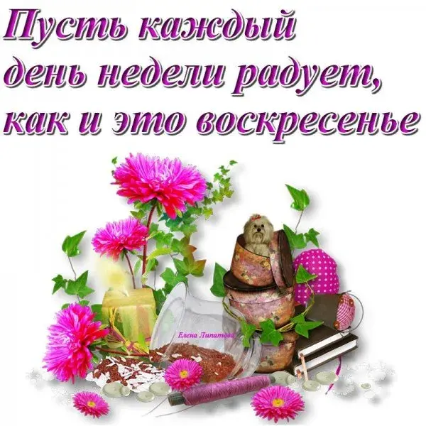 Открытка Открытки на воскресенье - Открытка с цветами и гномами | Красивая открытка #35