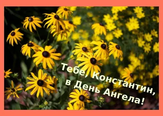 Открытка Открытки с именем Константин  - Полевые цветы: открытка с ромашками | Красивая открытка #155