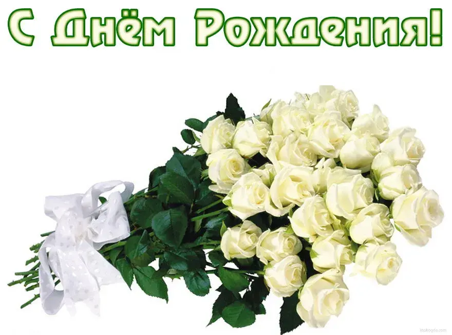 Открытка С белыми розами - Букет белых роз на открытке | Красивая открытка #76
