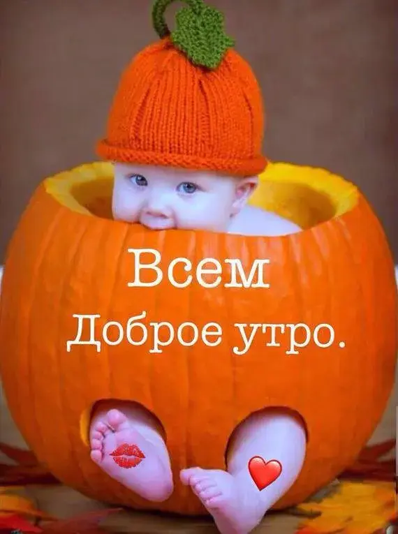 Открытка открытки с добрым утром - Мягкий ты, доброе утро: милый ребенок в тыкве | Красивая открытка #254