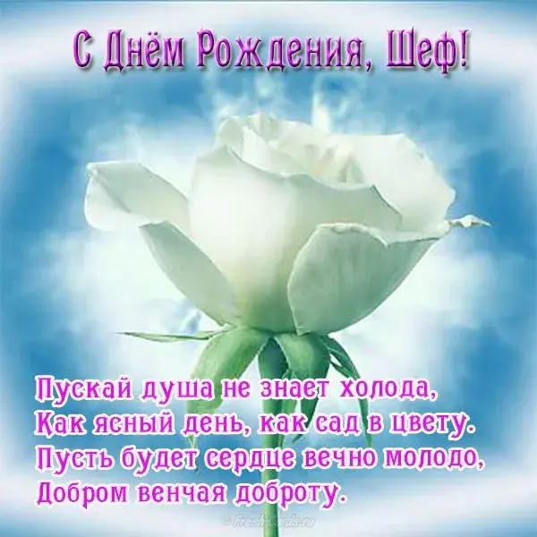 Открытка С днём рождения начальник - Открытка с цветами: С днем рождения! | Красивая открытка #46