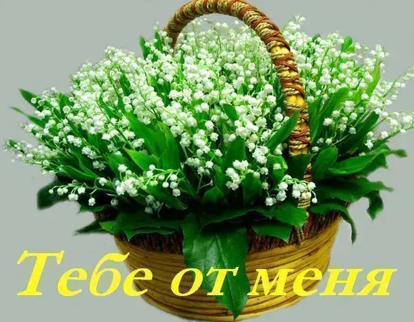 Открытка От меня - Открытка с ландышем в корзине | Красивая открытка #25