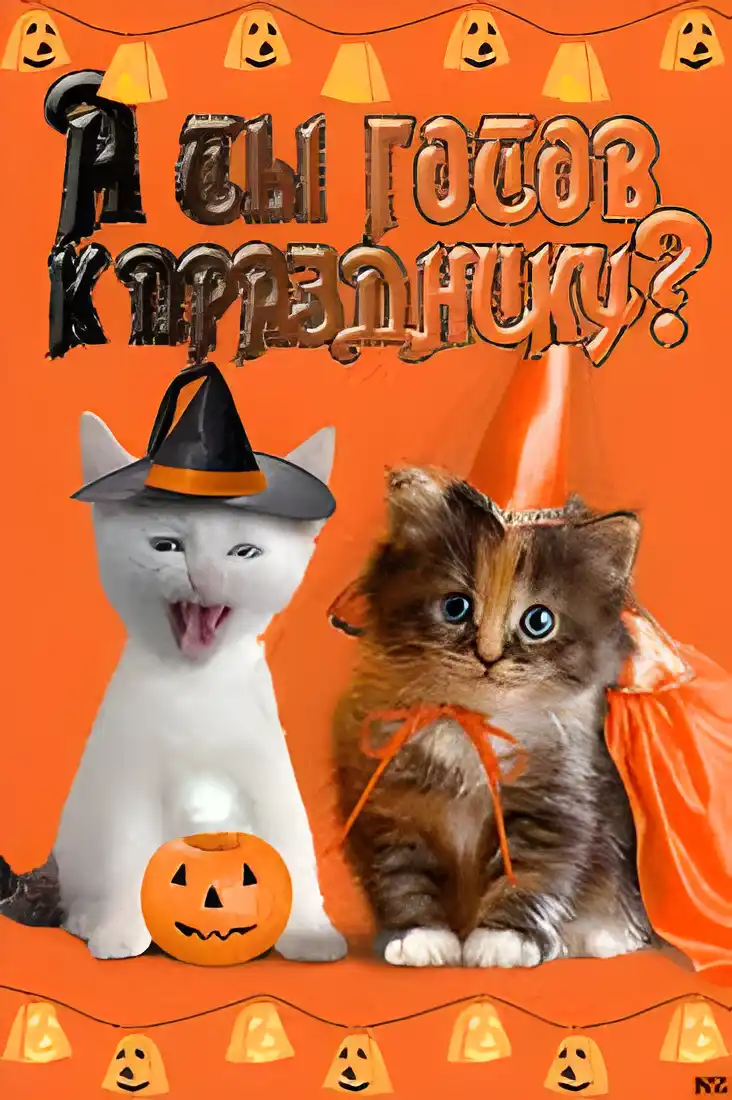 Открытка Открытки с Хэллоуином - Открытка на Хэллоуин: Две милые кошки | Красивая открытка #46