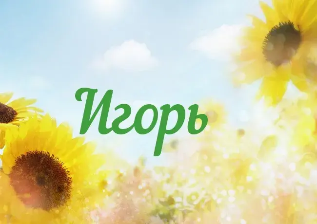 Открытка открытки с именем Игорь - Открытка с подсолнухами на фоне неба | Красивая открытка #214