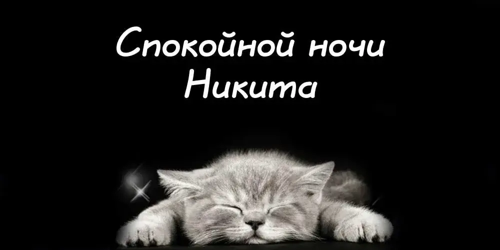 Открытка Открытки с именем Никита - Серый котенок спит: открытка с милым котенком | Красивая открытка #197