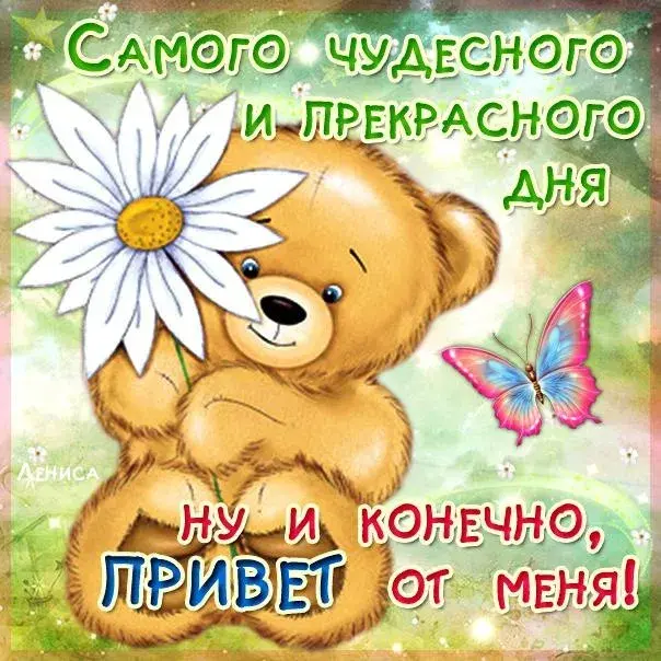 Открытка Недели - Милый плюшевый мишка с ромашкой и бабочкой | Красивая открытка #29