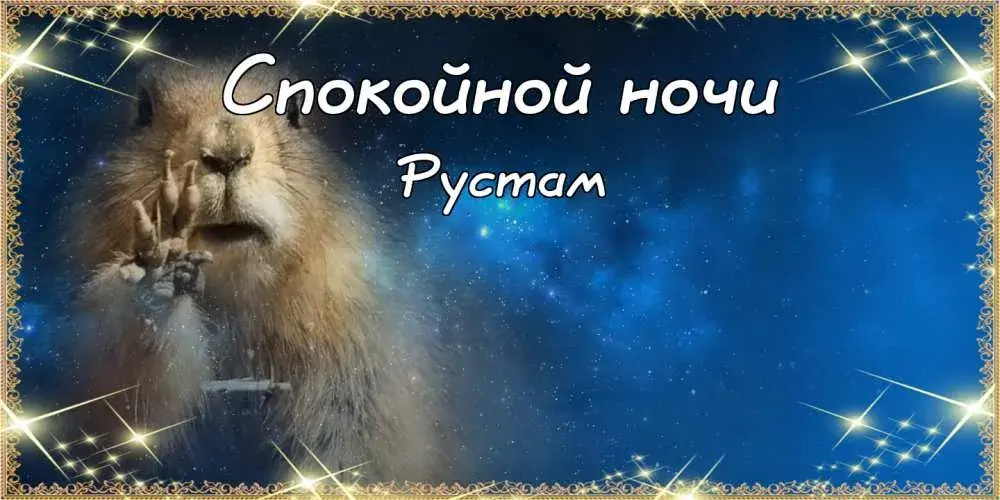 Открытка Открытки с именем Рустам - Открытка: Спящий рысь, ночное небо | Красивая открытка #71