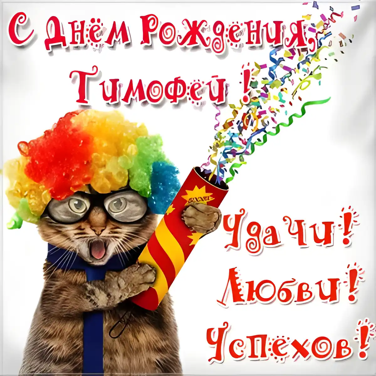 Открытка Открытки с именем Тимофей - Открытка с котиком в колпаке и бенгальским огнем | Красивая открытка #78