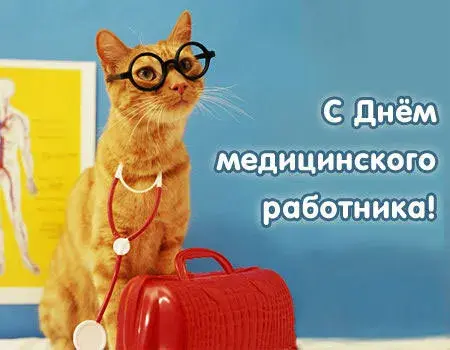 Открытка День медика - С Днём Врача: Оранжевый кот в стетоскопе | Красивая открытка #115