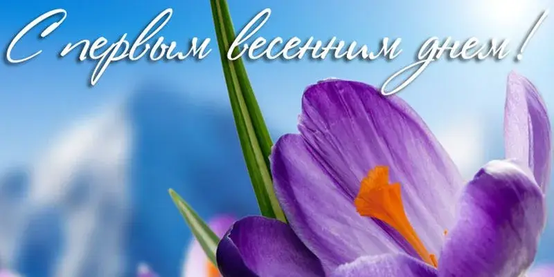 Открытка  С первым днем весны - Фиолетовый цветок на фоне голубого неба | Красивая открытка #86
