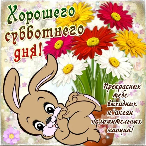 Открытка Удачной субботы - Открытка: Забавный кролик и цветы | Красивая открытка #23