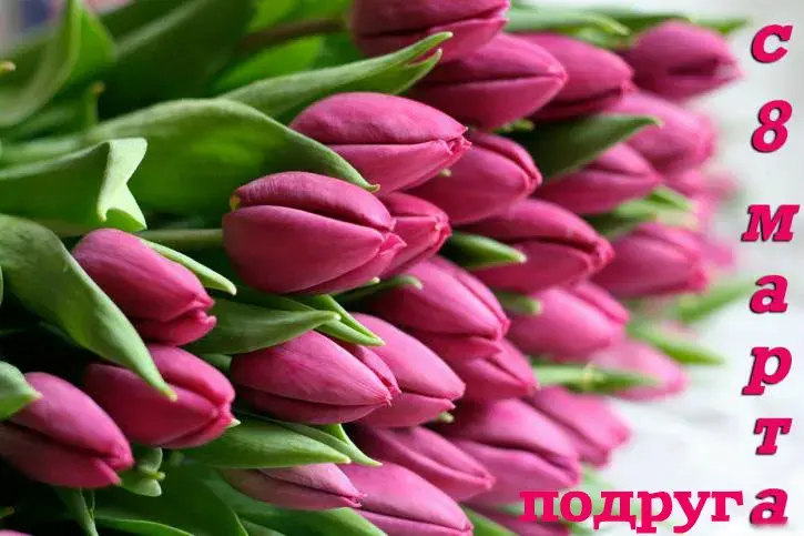 Открытка С 8 марта подруге - Букет розовых тюльпанов: нежная открытка | Красивая открытка #5