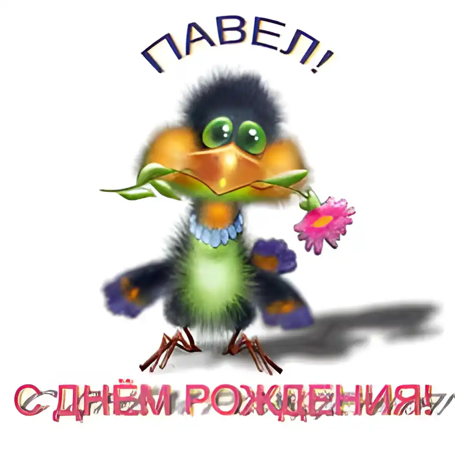 Открытка Открытки с именем Павел  - Открытка с птичкой: поздравления с днем рождения | Красивая открытка #142