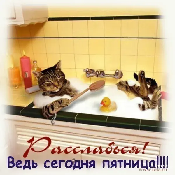 Открытка Хорошей пятницы - Кот в ванной с уточкой и мылом. Открытка | Красивая открытка #26