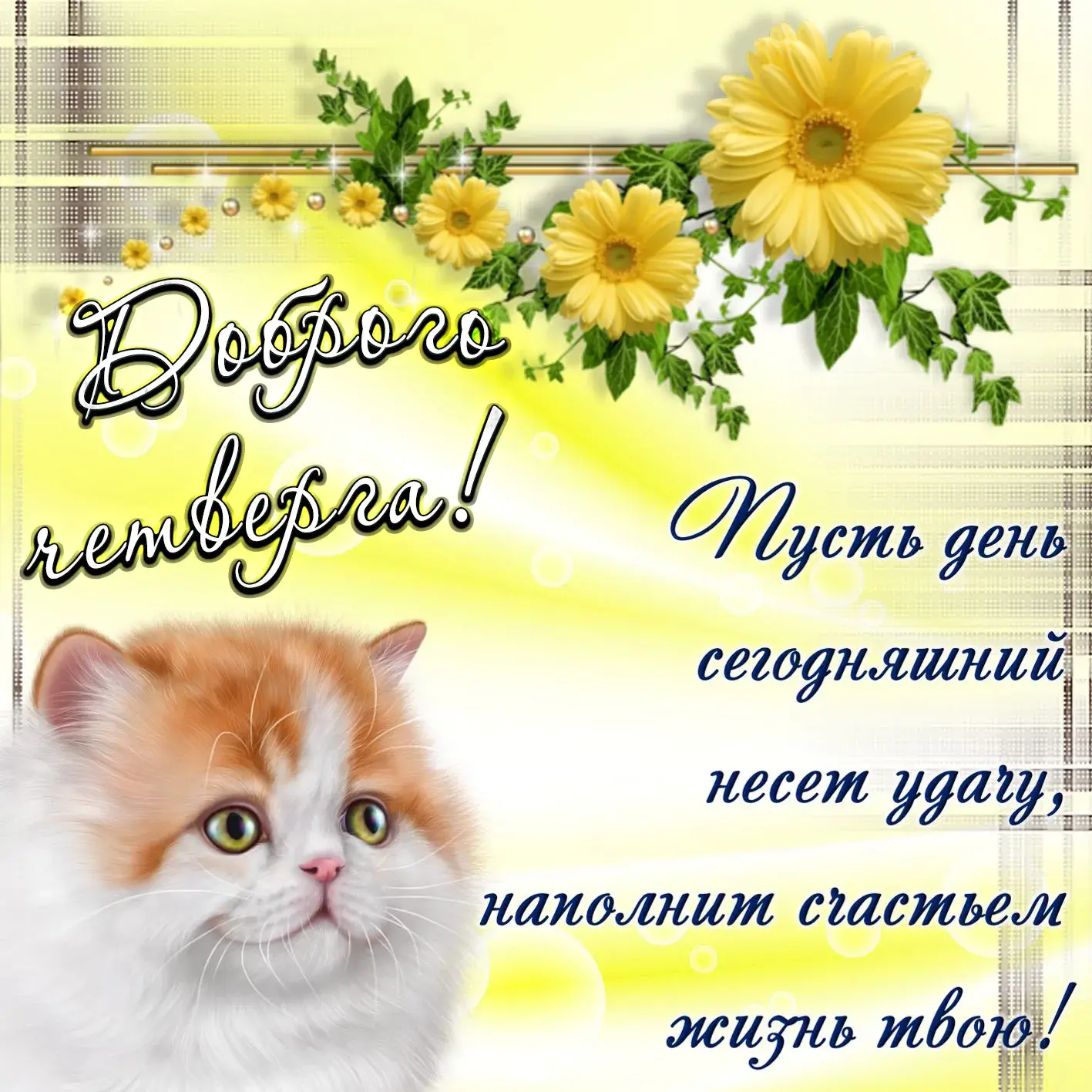Открытка С четвергом - Открытка с котиком и цветами: поздравления с днем | Красивая открытка #6