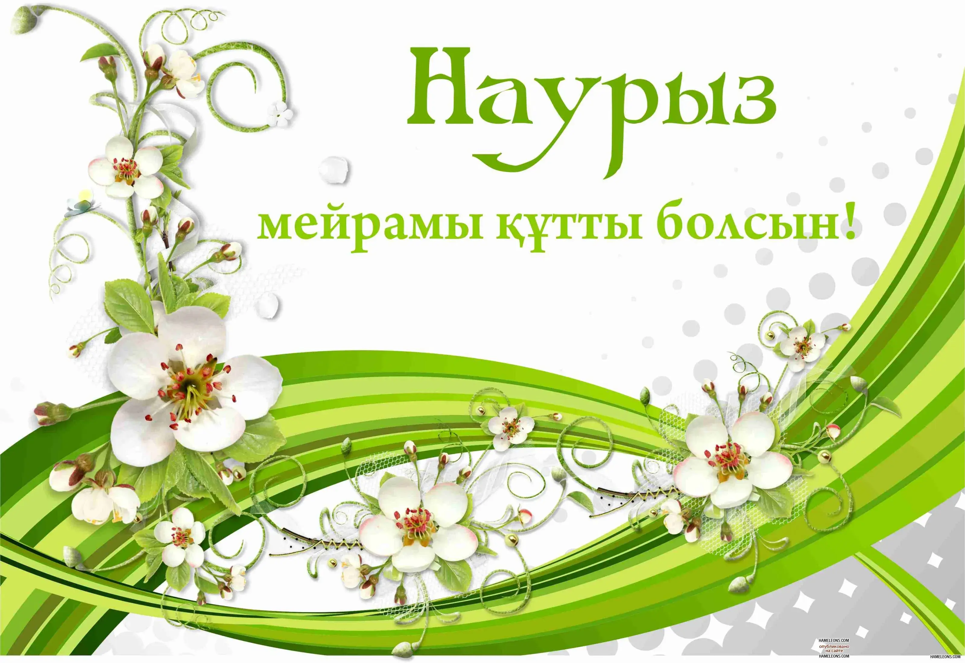Открытка Наурыз - Цветы и зелень — Праздничная открытка | Красивая открытка #94