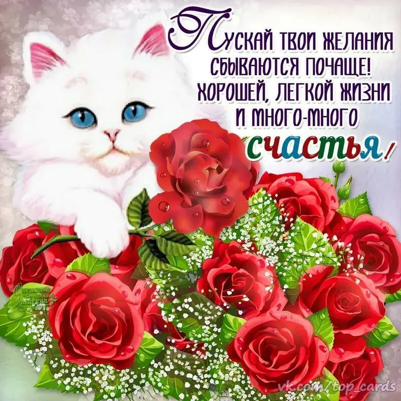 Открытка День счастья - Открытка с котенком и красными розами | Красивая открытка #25