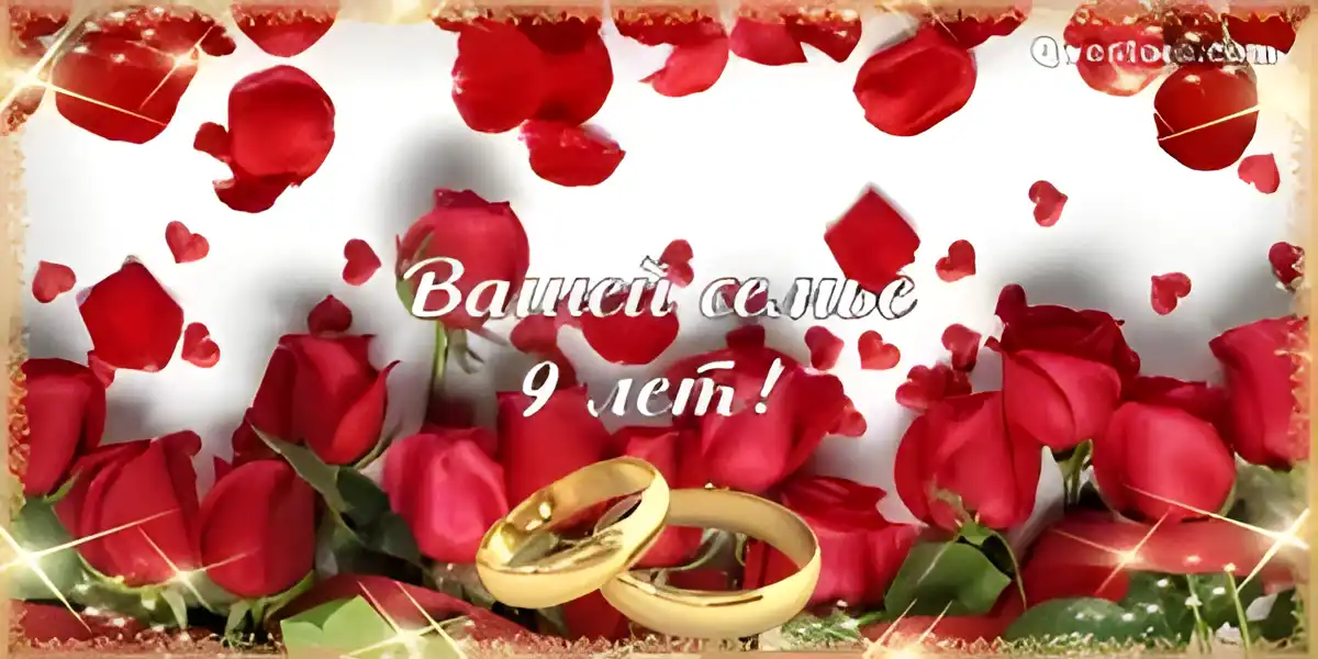 Открытка Открытки на Фаянсовую/Ромашковую свадьбу 9 лет - Обручальные кольца на розах | Красивая открытка #70
