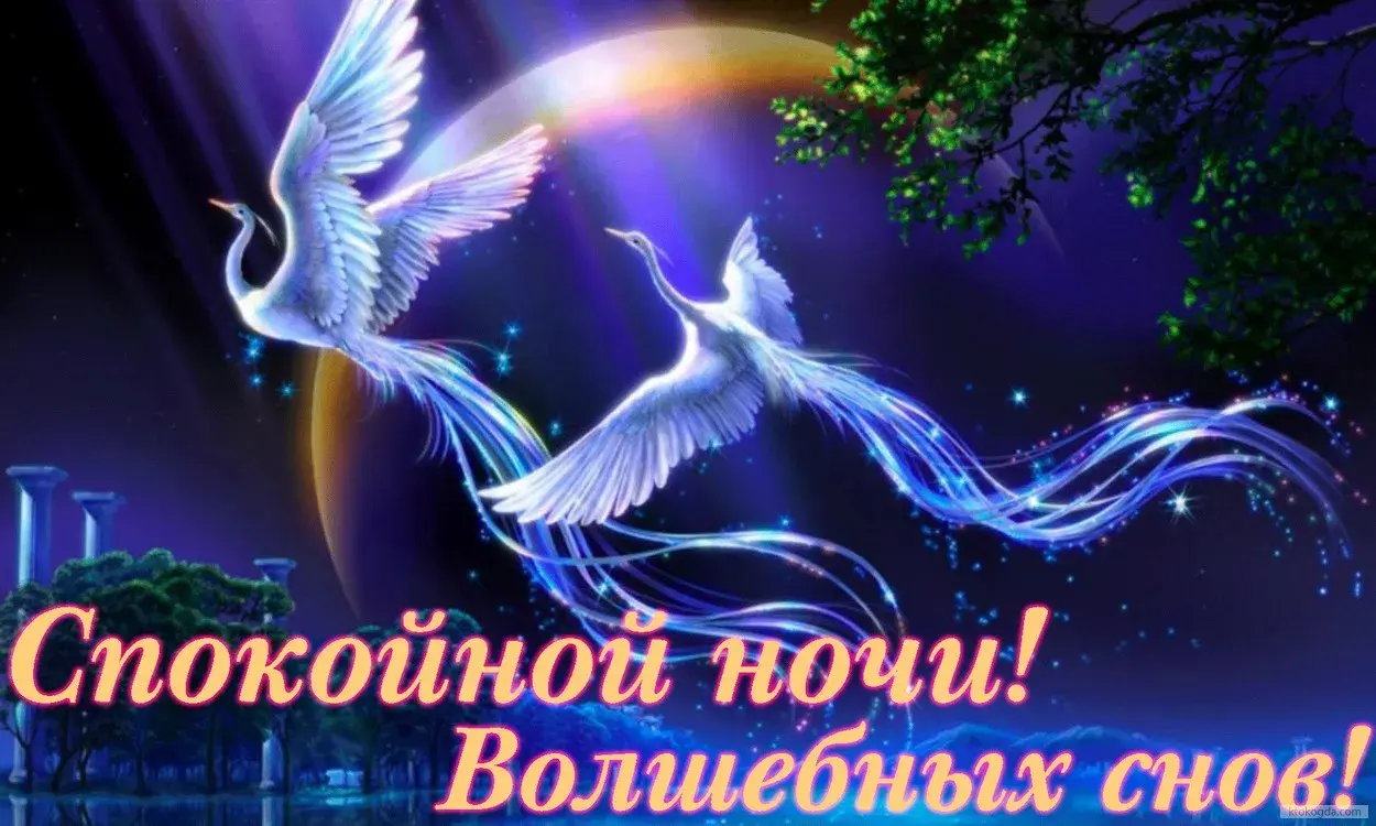 Открытка Доброй ночи - Открытка: Белый лебедь на фоне заката. С днем рождения! | Красивая открытка #60