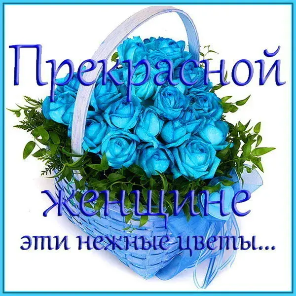 Открытка Ты прекрасна - Открытка с голубыми розами в плетеной корзинке | Красивая открытка #12
