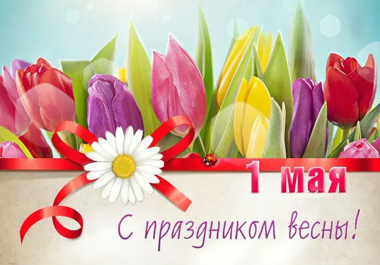 Открытка 1 мая - Открытка "1 мая": тюльпаны, ромашка, поздравления | Красивая открытка #295