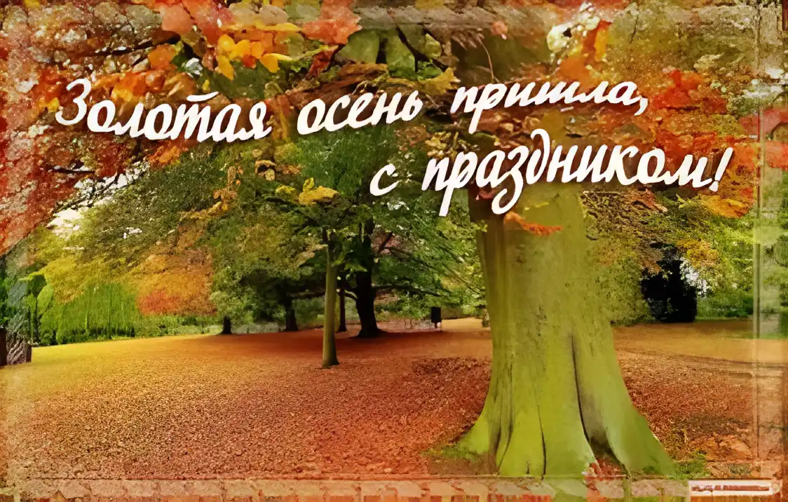 Открытка Открытки Золотая Осень  - Золотая осень: открытка с осенним пейзажем | Красивая открытка #48