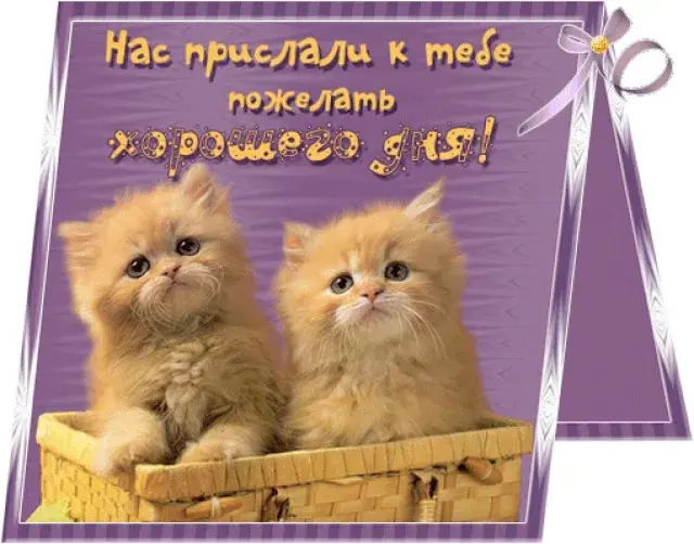 Открытка Прикольные пожелания - Открытка с котятами в корзинке — Праздничная открытка | Красивая открытка #28
