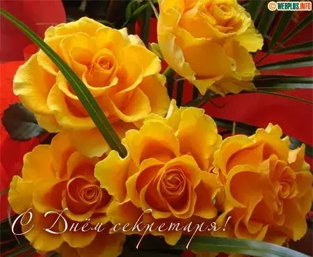 Открытка С днем секретаря - Открытка с жёлтыми розами на красном фоне | Красивая открытка #63