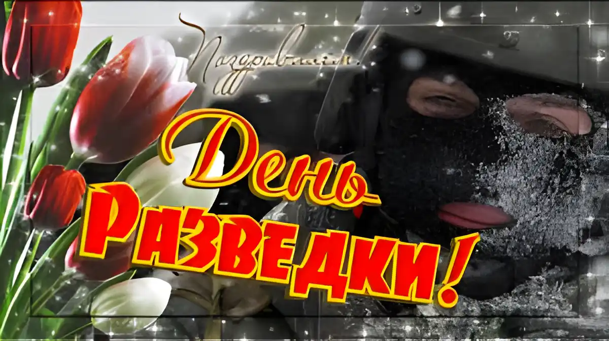 Открытка День военного разведчика - Открытка с красными и белыми тюльпанами | Красивая открытка #1