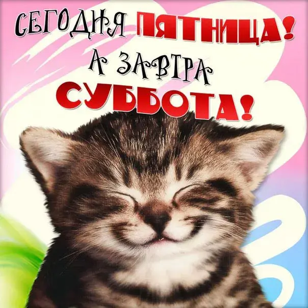 Открытка С пятницей - Забавная кошка на открытке: милые поздравления | Красивая открытка #1