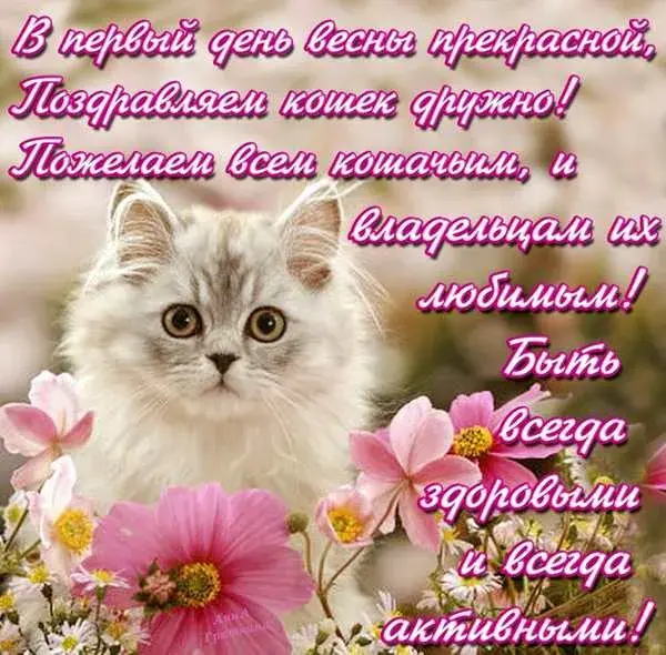 Открытка С Всемирным днём кошек - Котенок с цветами: Открытка с котенком на цветочной лужайке | Красивая открытка #20