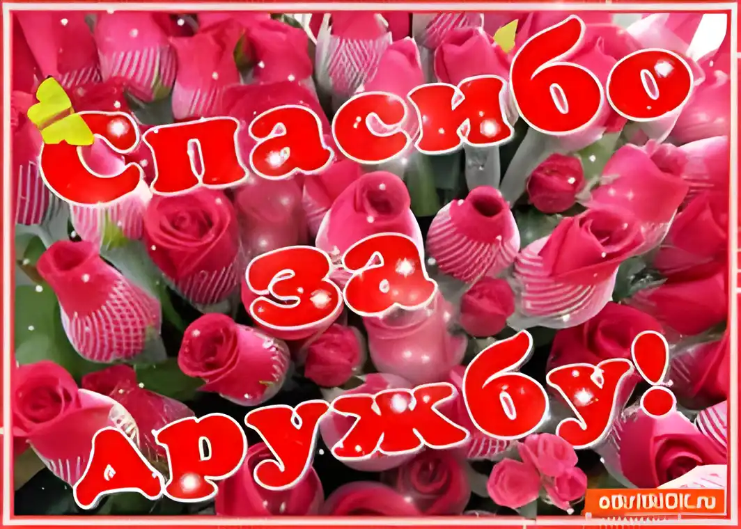 Открытка О дружбе - Открытка с розами: нежные и яркие поздравления | Красивая открытка #12