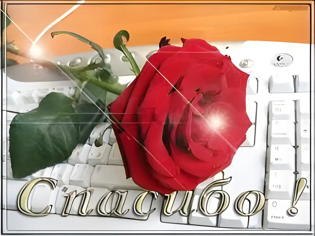 Открытка Благодарность - Красная роза на клавиатуре: открытка с цветами | Красивая открытка #22