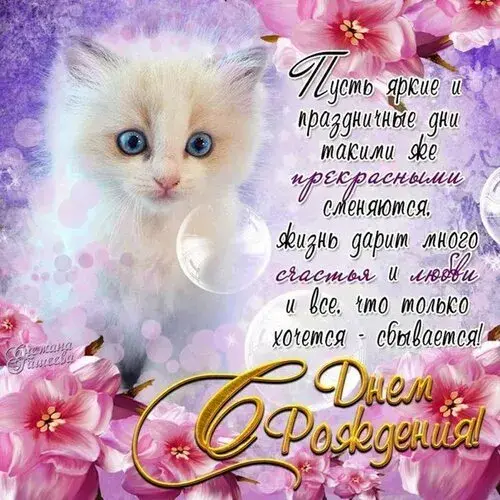 Открытка С кошками - День рождения: Кот и цветы - Открытка | Красивая открытка #29