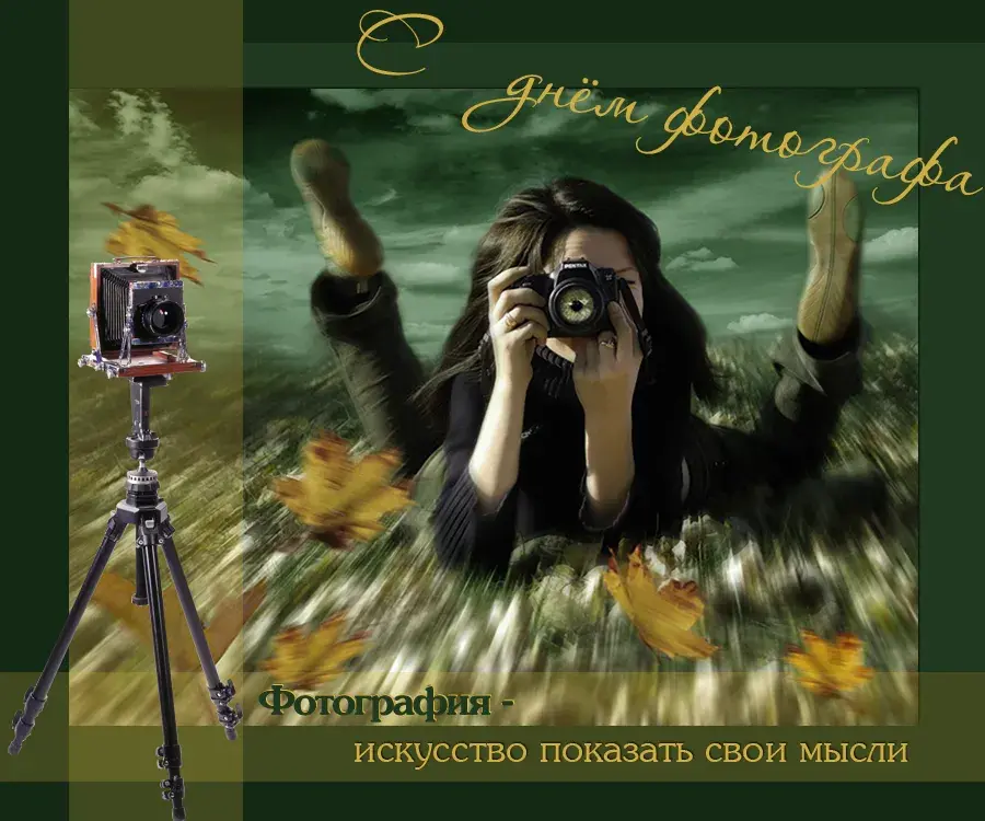 Открытка День фотографа - Фотограф в лесу: открытка с природой и камерой | Красивая открытка #12