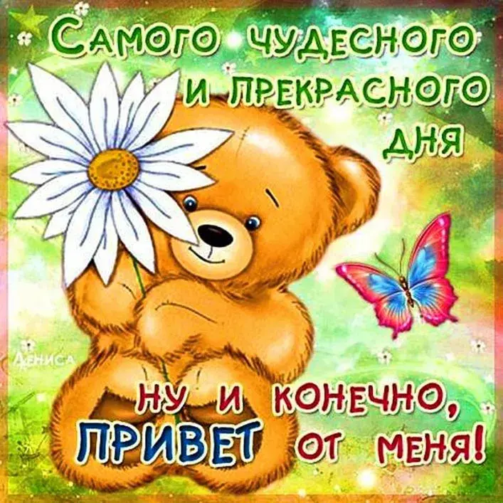 Открытка добрый день - Открытка с мишкой и бабочкой | Красивая открытка #57