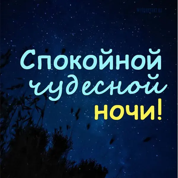Открытка Доброй ночи - Открытка "Спокойной ночи": темное небо, ветки | Красивая открытка #32