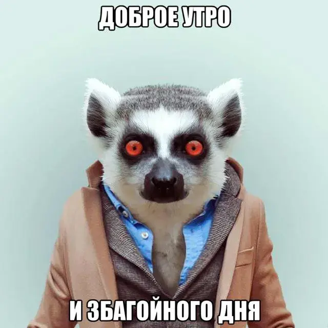 Открытка Мемы - Лемур в костюме: прикольная открытка с добрым утром | Красивая открытка #27