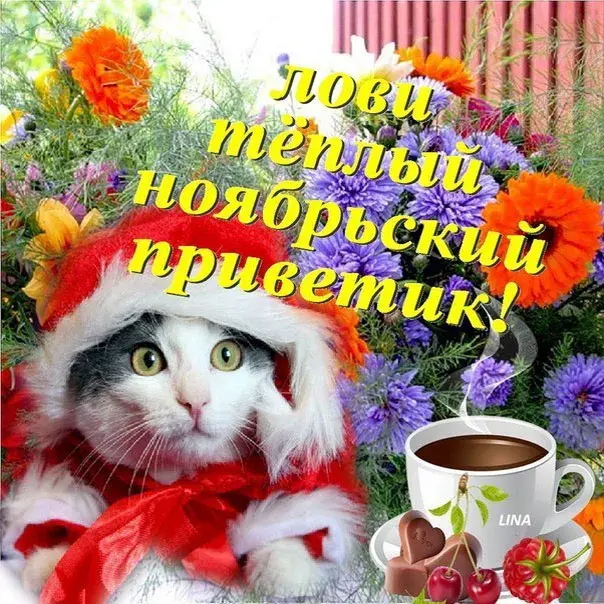 Открытка Осенний приветик - Открытка с котом в колпаке, ягодами и кофе | Красивая открытка #14